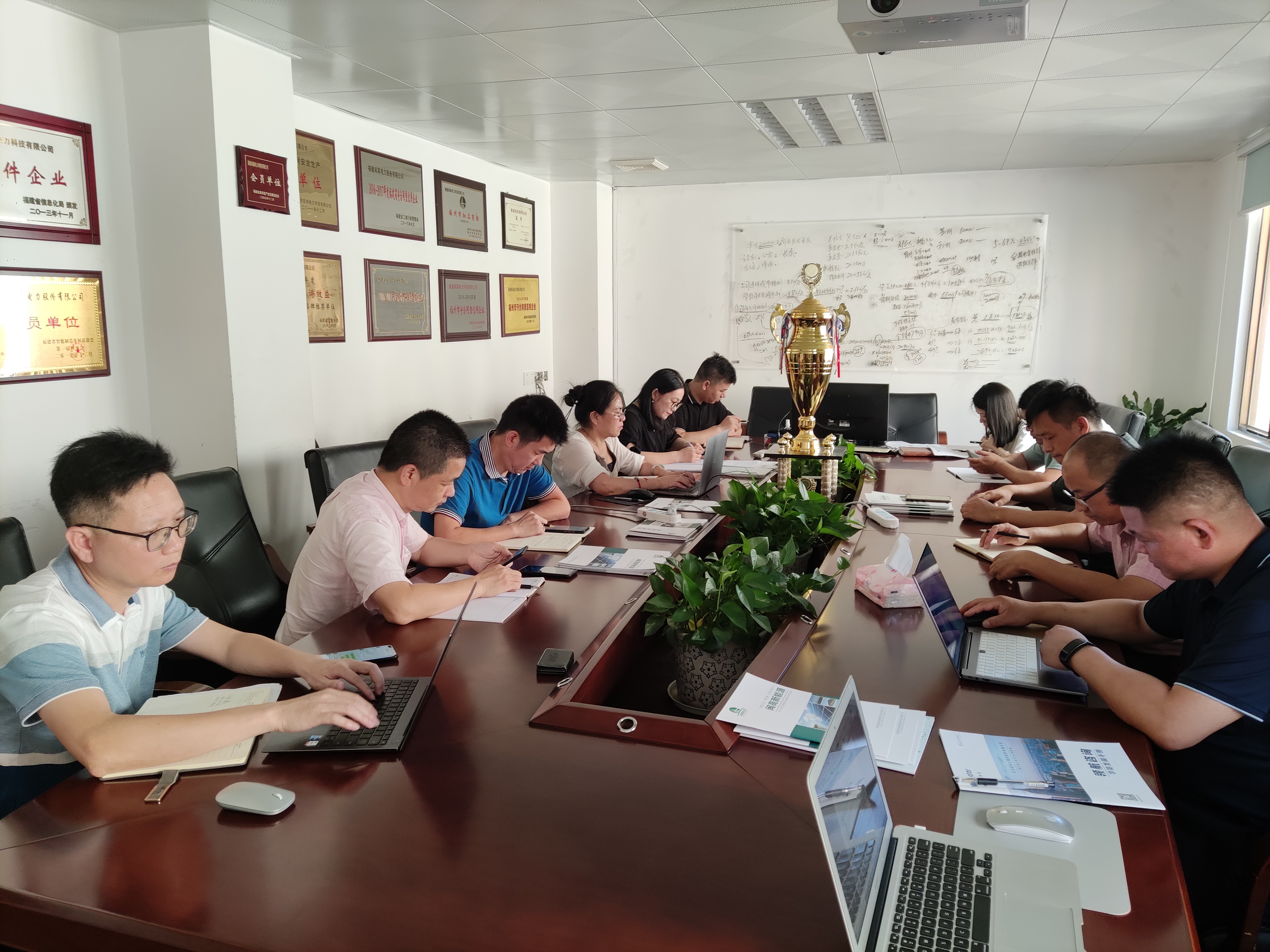 某某电力IPO战略陪跑高层辅导会议