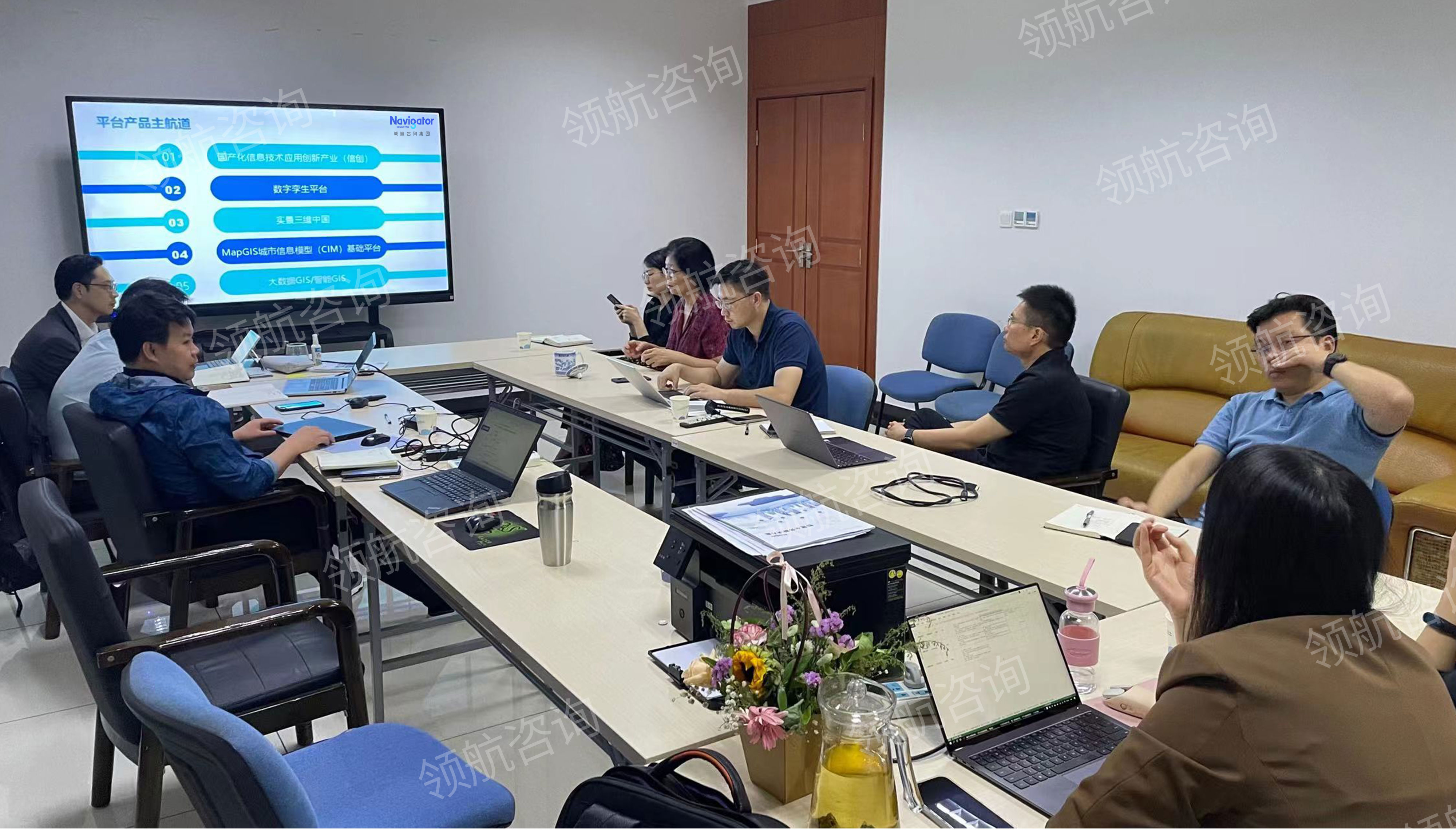 ZD项目阶段性产品战略和IPD导入辅导