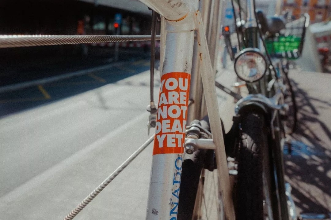 1530781144137357.jpg 1530781144137357.jpg